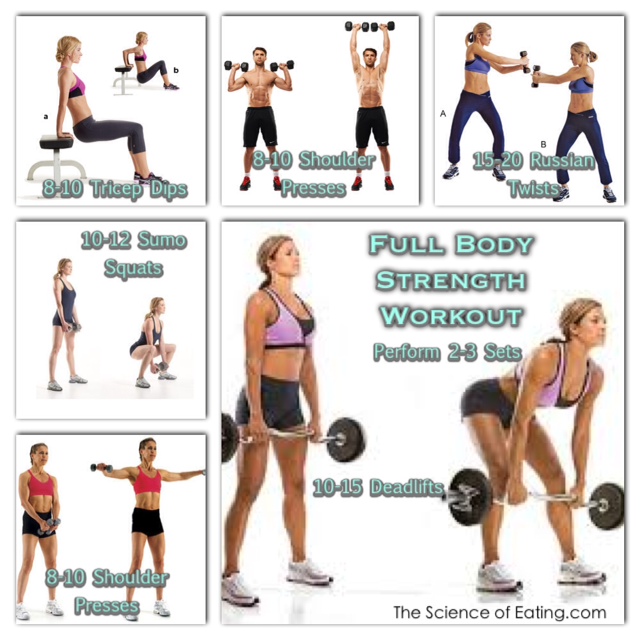 full body work out chart in gym