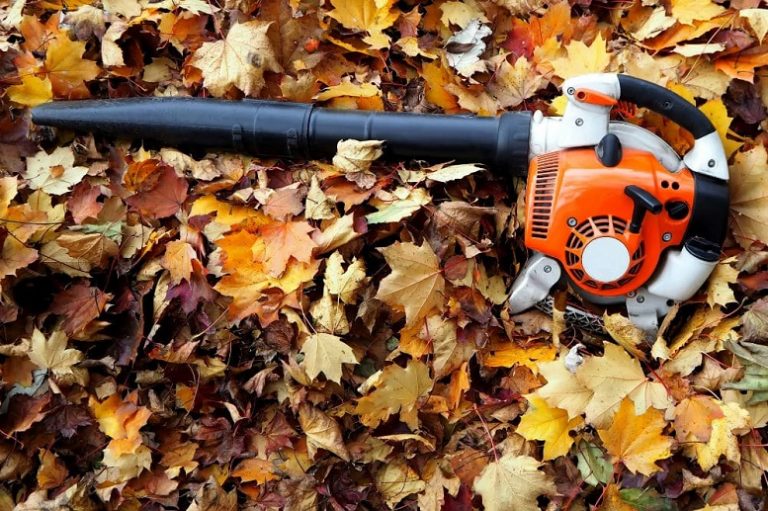 How to Use a Leaf Blower Full Guide Smile Delivery Online