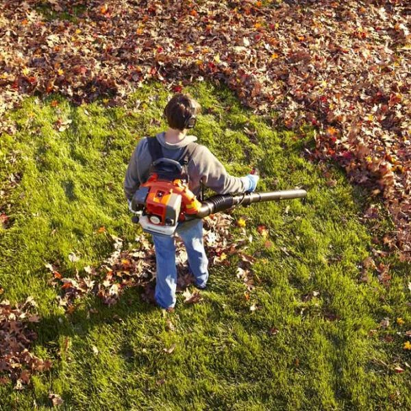 How to Use a Leaf Blower Full Guide Smile Delivery Online