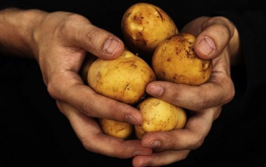 Benefits of Potato Diet Rules for Weight Loss