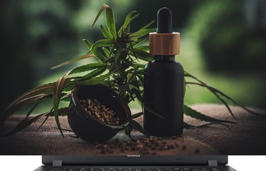 All The Basics of CBD You Need to Know About