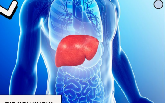 what Foods are Good and Bad for Liver