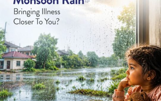 How to Protect Your Family From Dengue During the October Rainy Season